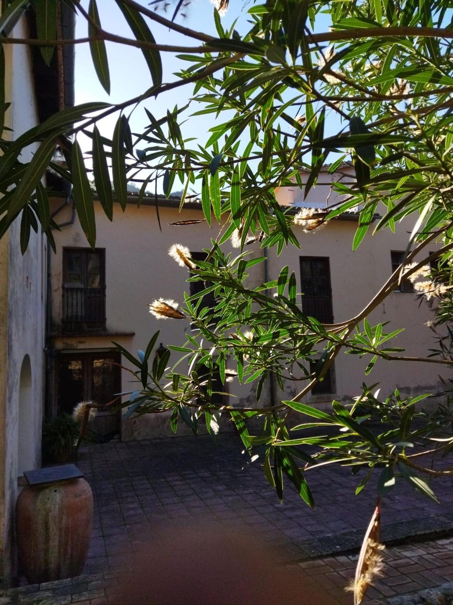 Bed and Breakfast Casa Bienvenida - Carcagente Exterior foto
